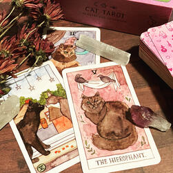 The Cat Tarot